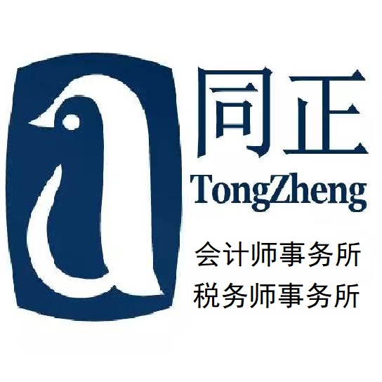 内蒙古同正会计师事务所的图标