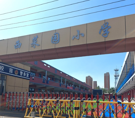 西菜园中心小学